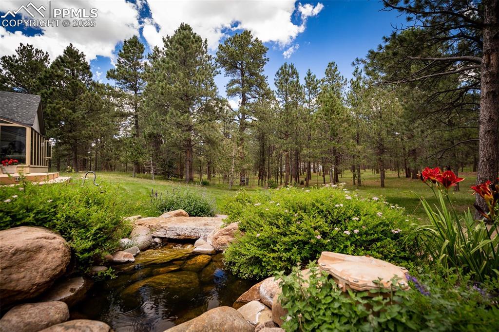 Image 30 of 43: Yard