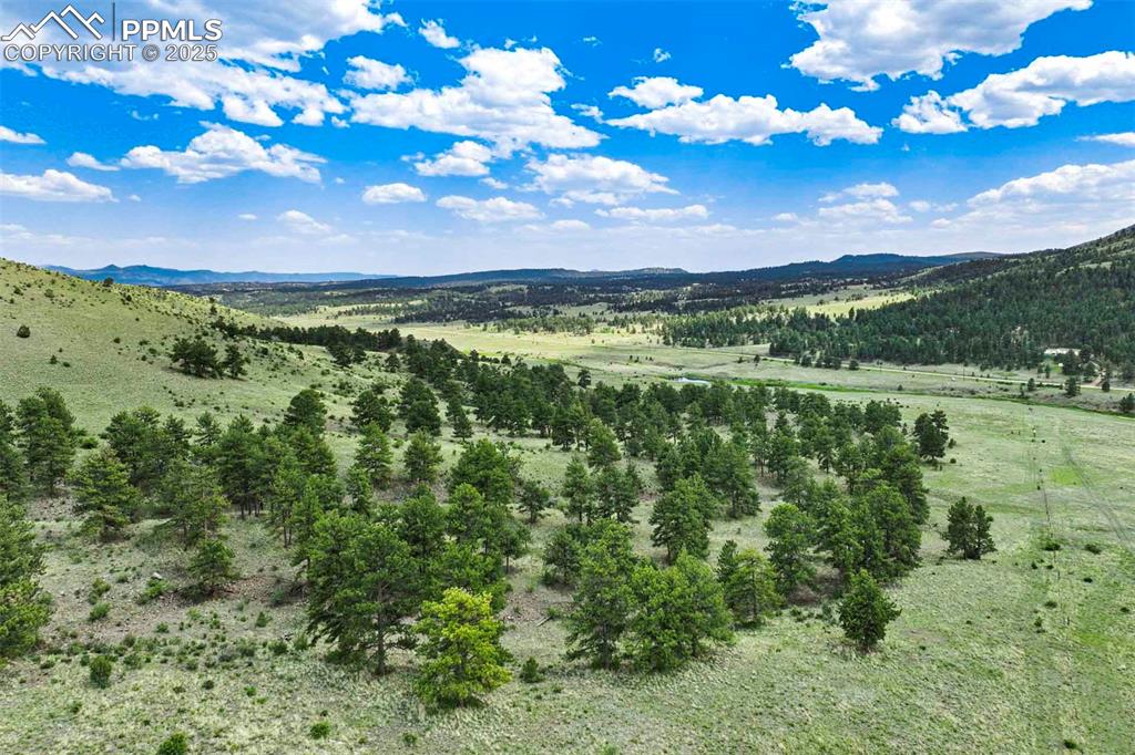 Image 11 of 18: View