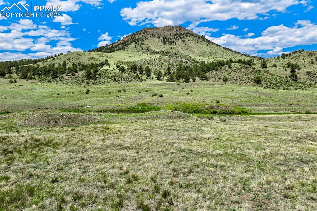 Image 12 of 18: View