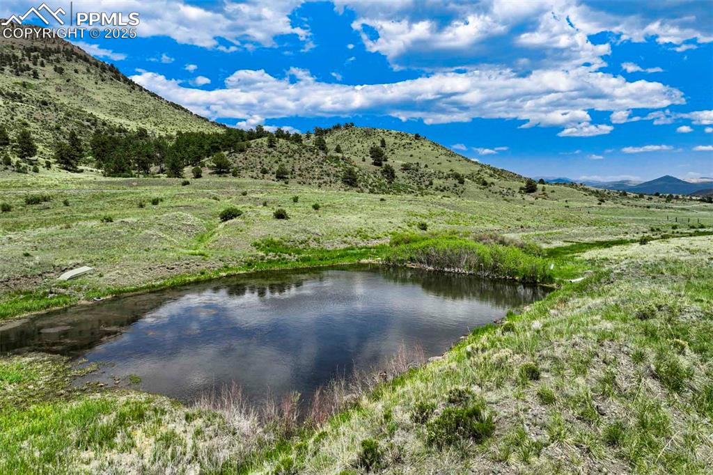 Image 16 of 18: View