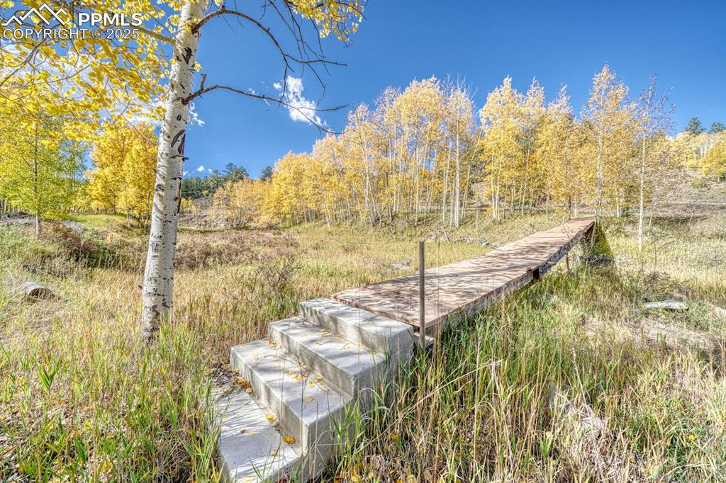 Image 40 of 46: Yard