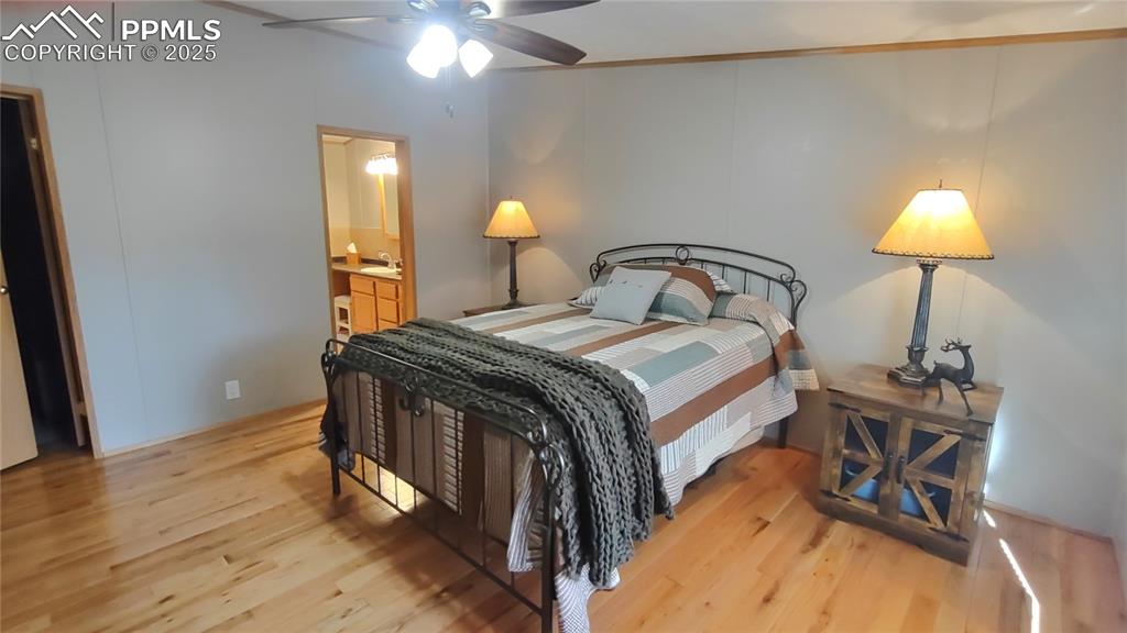 Image 17 of 42: Primary bedroom has adjoining bath & walk-in closet.