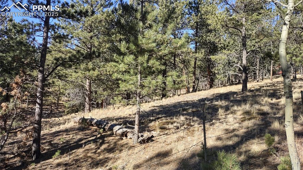Image 35 of 42: View into ranch behind property that is home to deer, squirrels, raccoons, 
