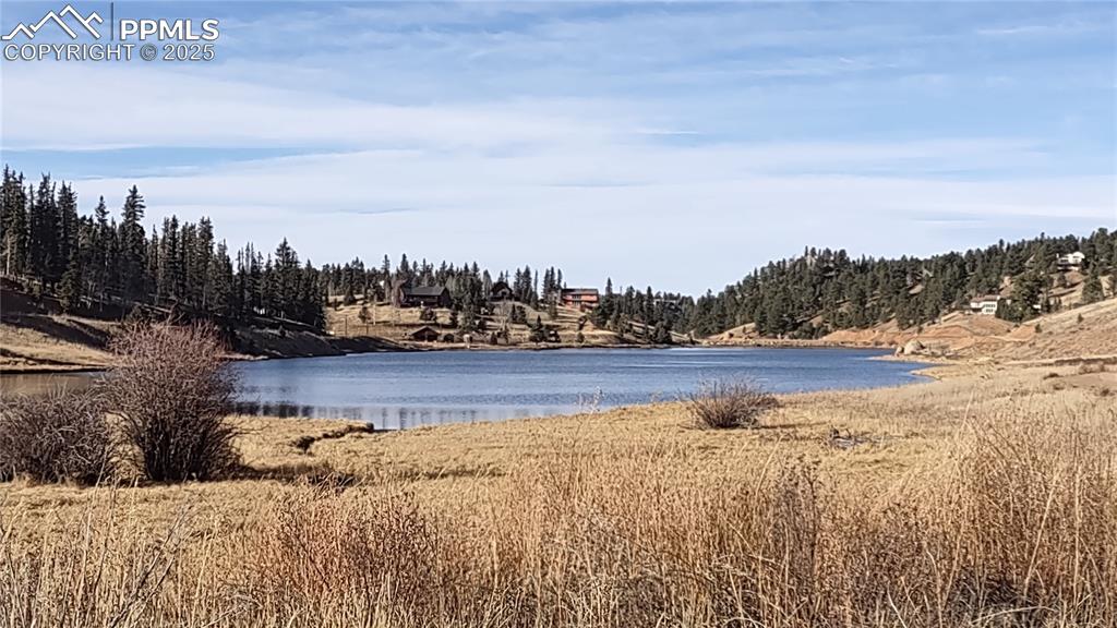 Image 41 of 42: Burgess Lake looking north.