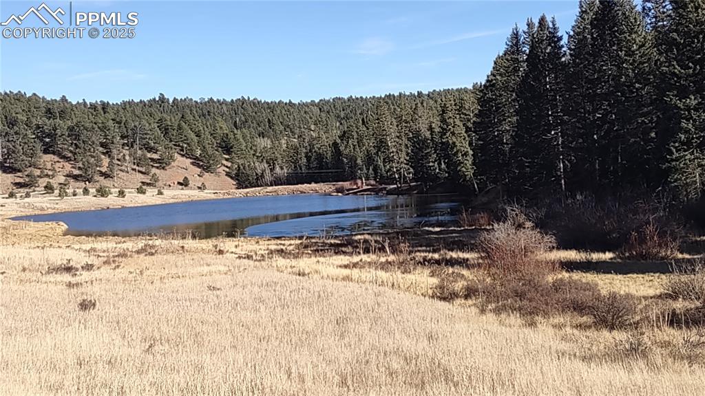 Image 42 of 42: Shadow Lake.