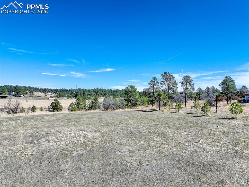 Image 13 of 22: Yard