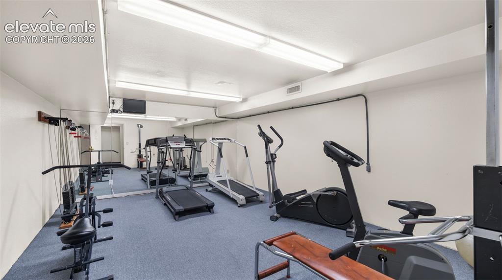 Image 34 of 37: Dedicated fitness space featuring wall-to-wall carpeting and perimeter fluo