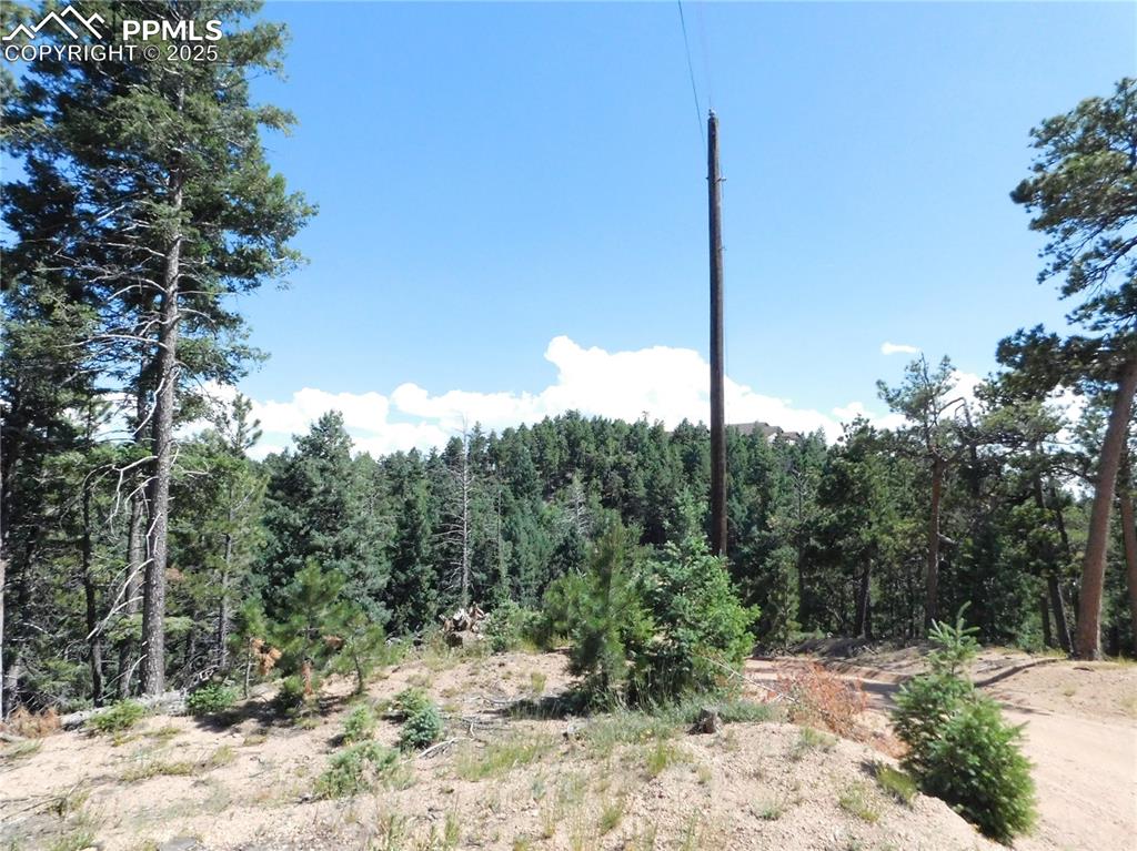 Image 16 of 33: Other