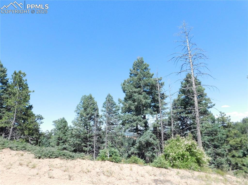 Image 22 of 33: Other