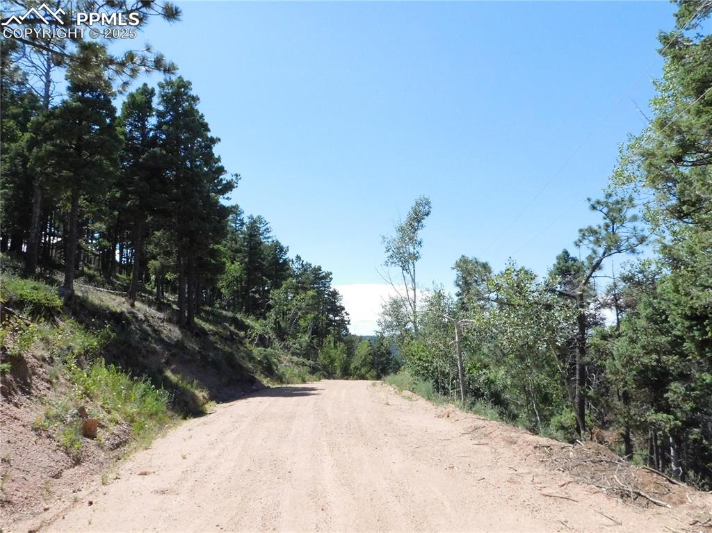 Image 33 of 33: Community