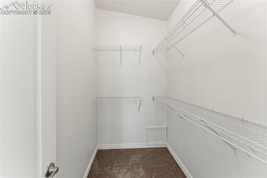 Image 16 of 50: Walk in closet with carpet floors