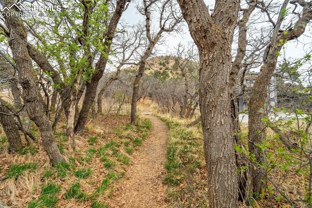 Image 38 of 39: Other