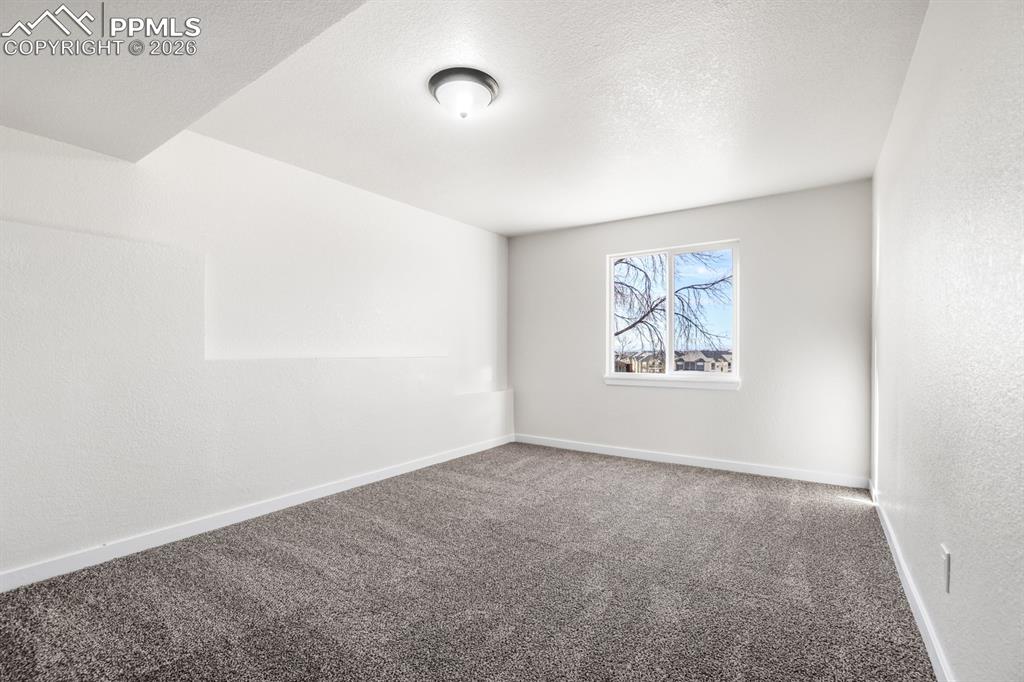 Image 37 of 50: Other