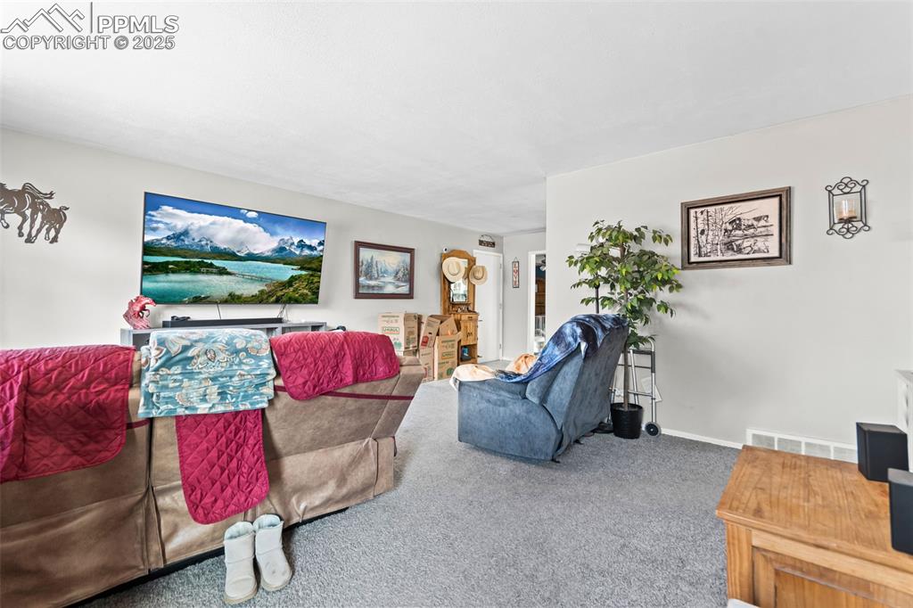 Image 4 of 28: Living room with carpet floors