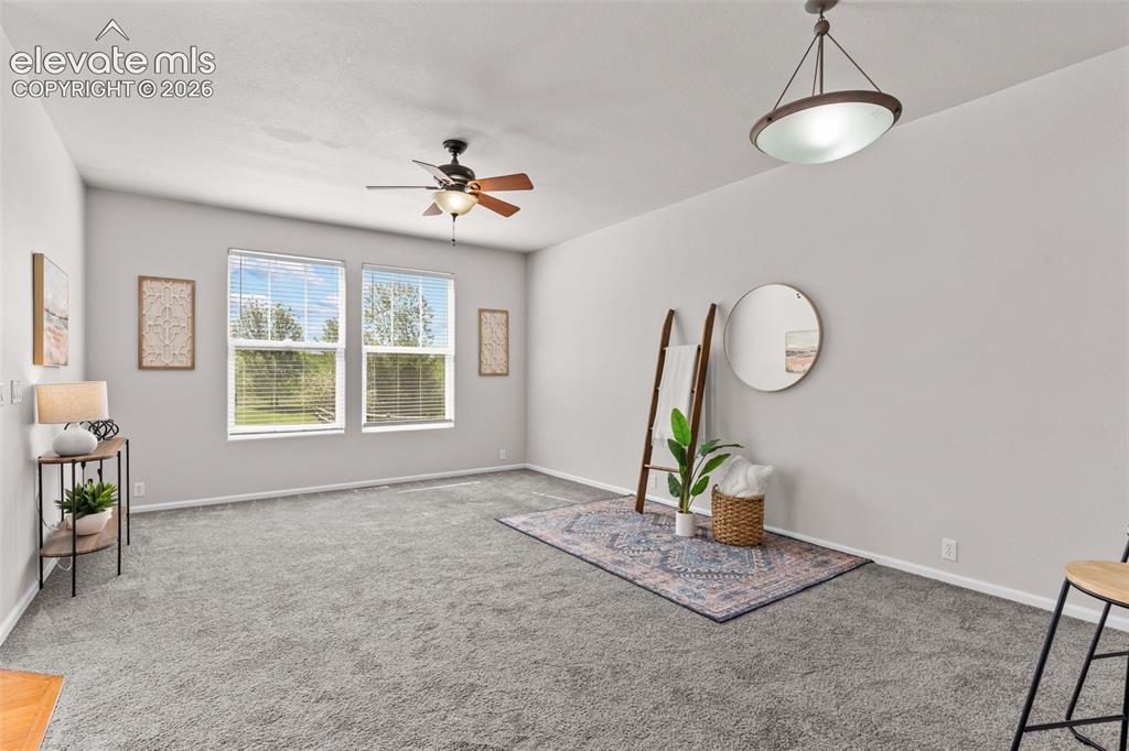 Image 5 of 33: Newer carpet and paint