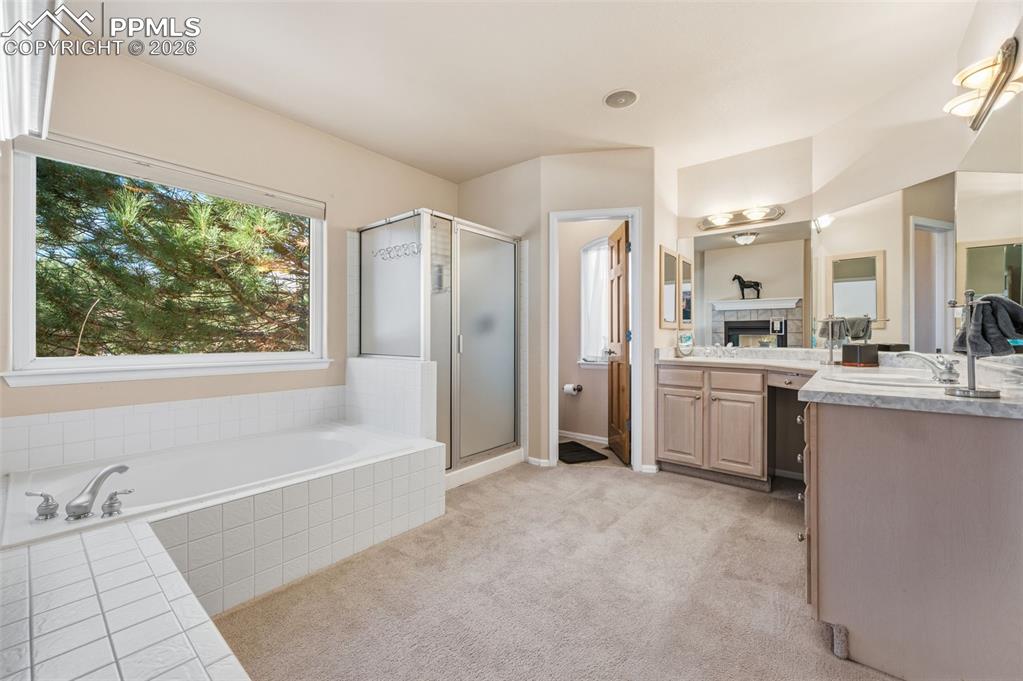 Image 19 of 50: No Description Available