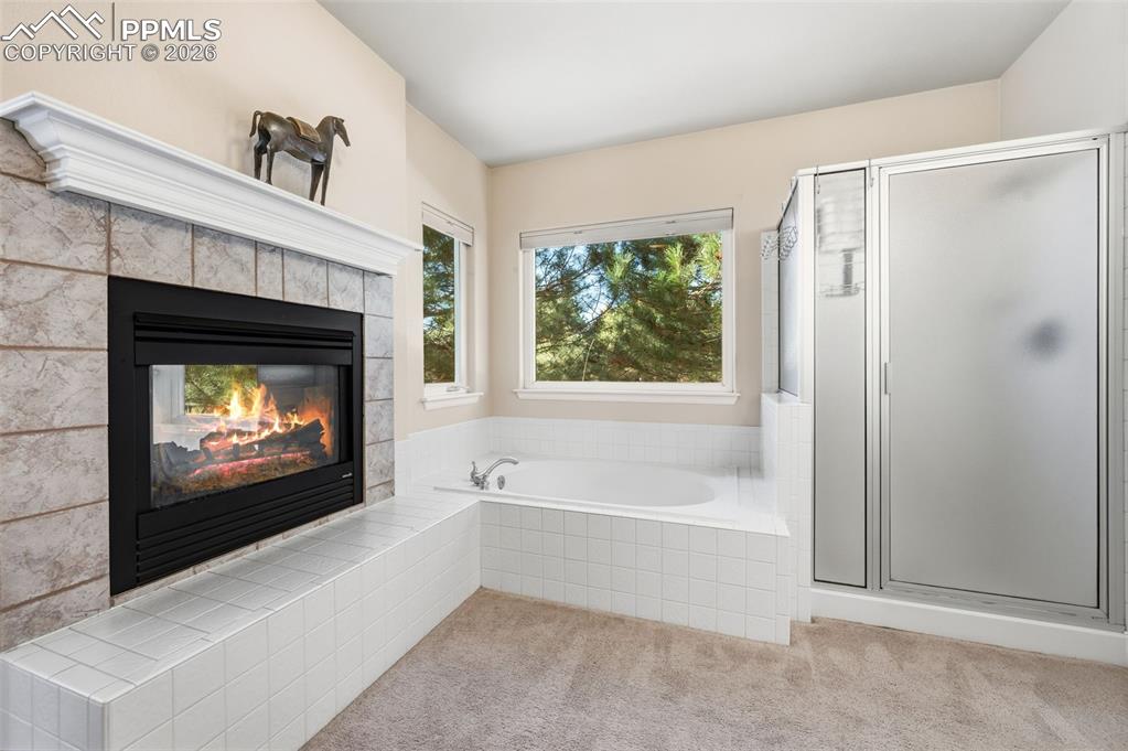 Image 20 of 50: No Description Available