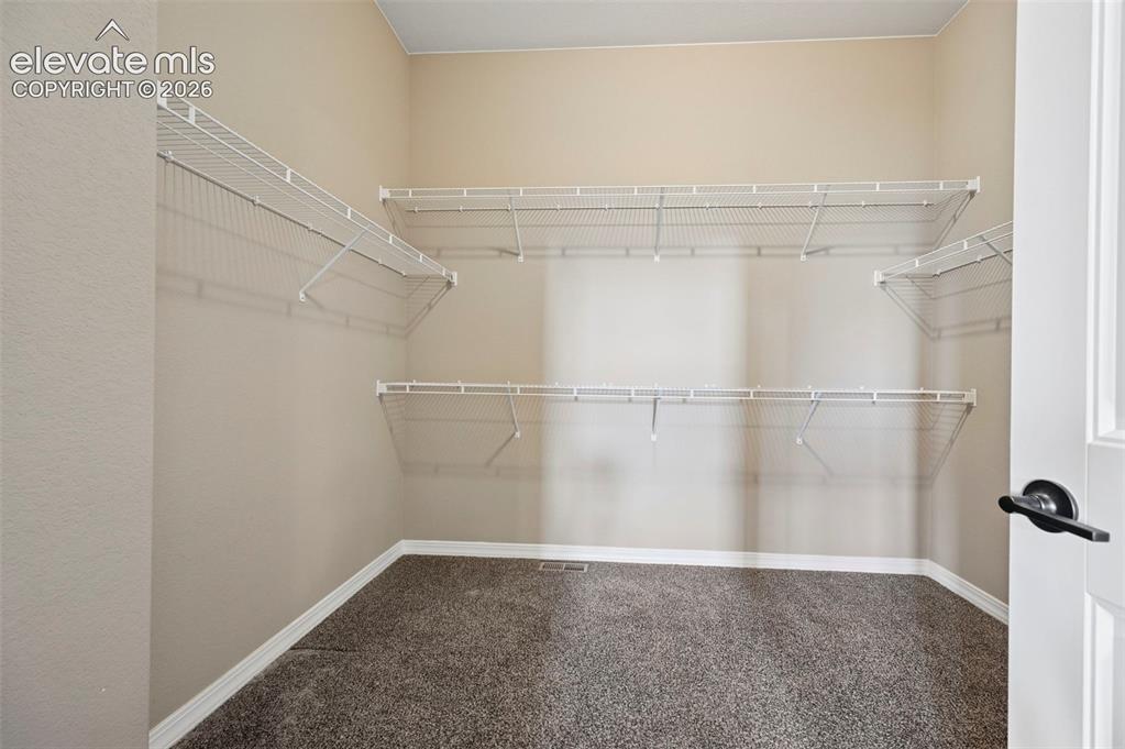 Image 12 of 37: Walk-in closet featuring neutral carpeting, light beige walls, white wire s