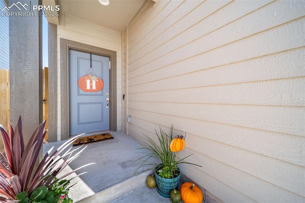 Image 3 of 45: The two panel doors throughout the home are modern and stylish. 