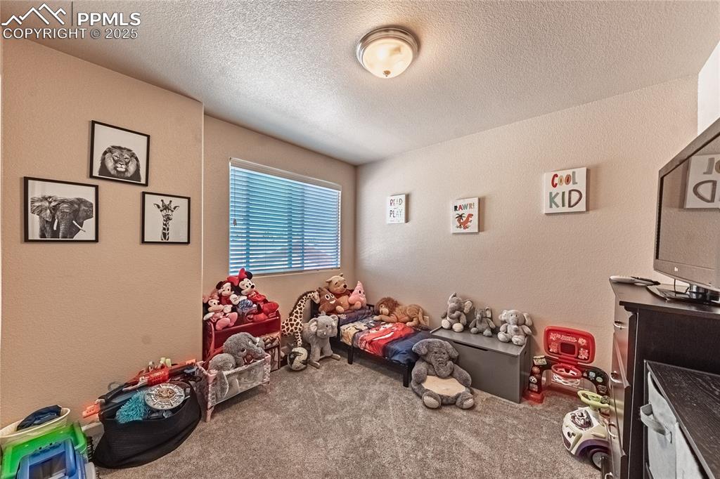 Image 20 of 33: Carpeted bedroom with a textured ceiling