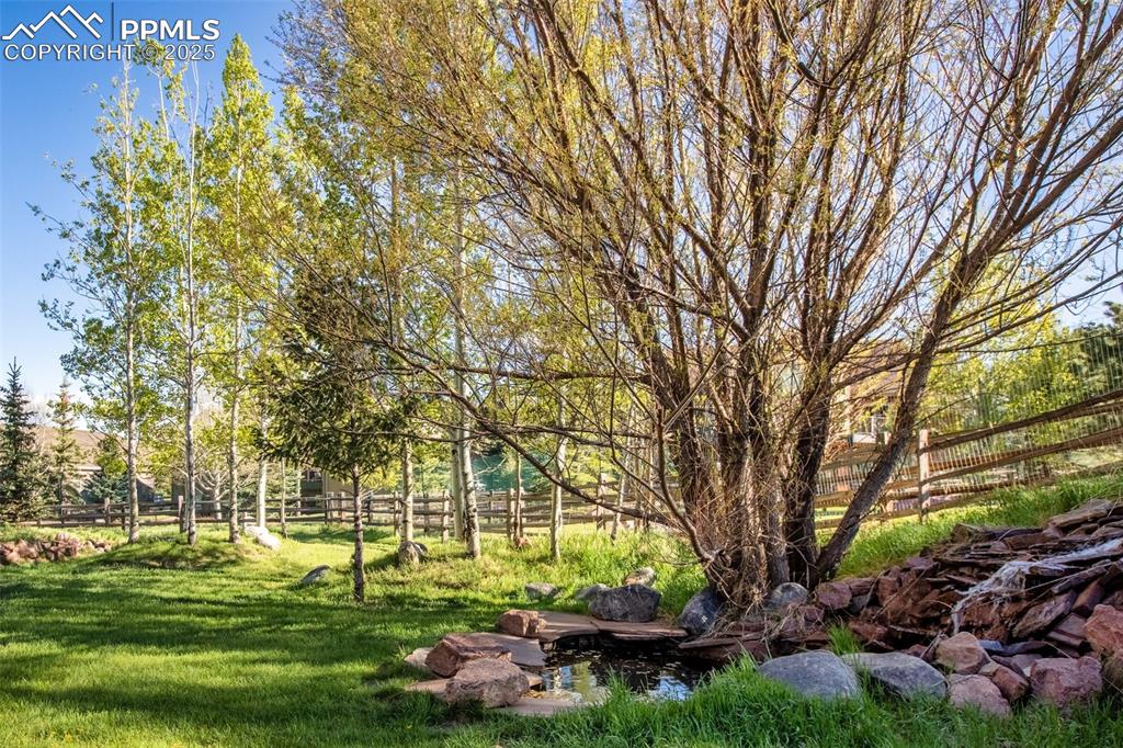 Image 44 of 50: Yard