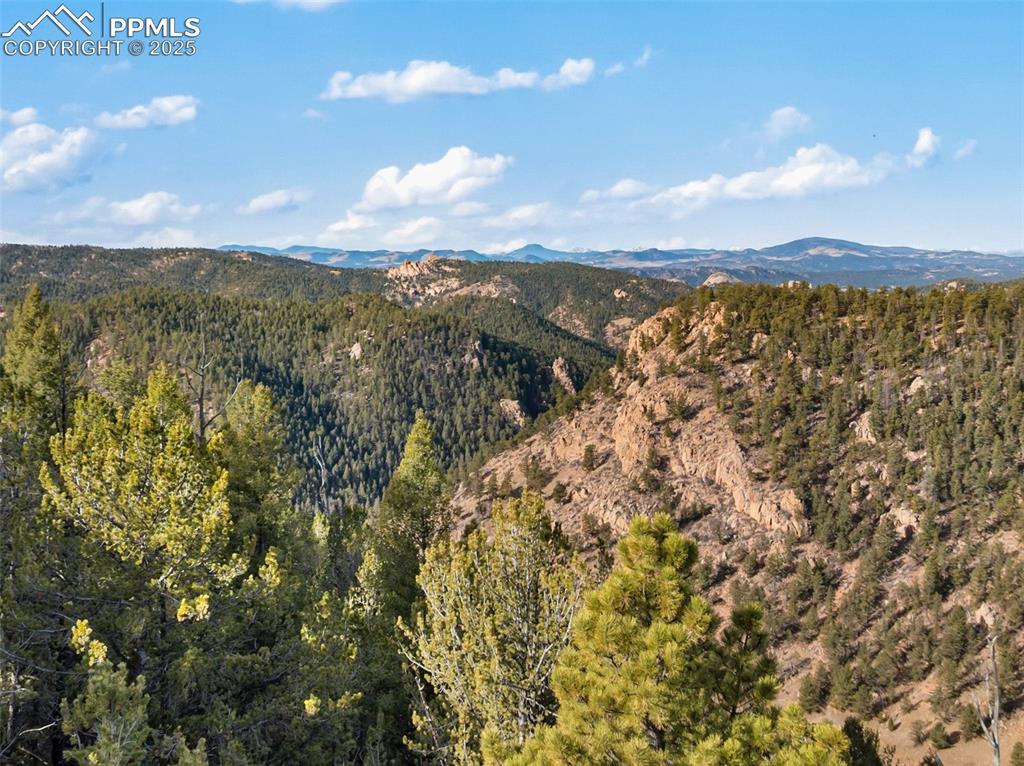 Image 40 of 46: View of mountain backdrop