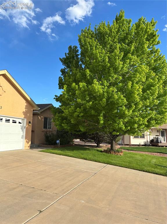 Image 3 of 43: Nice large tree in front yard
