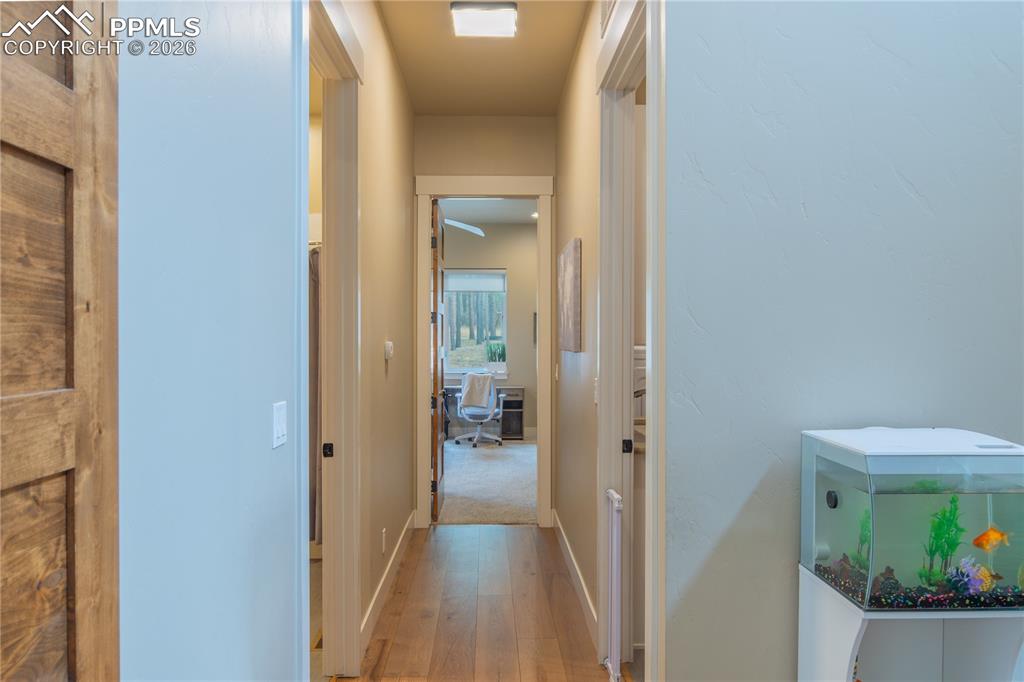 Image 25 of 50: Other