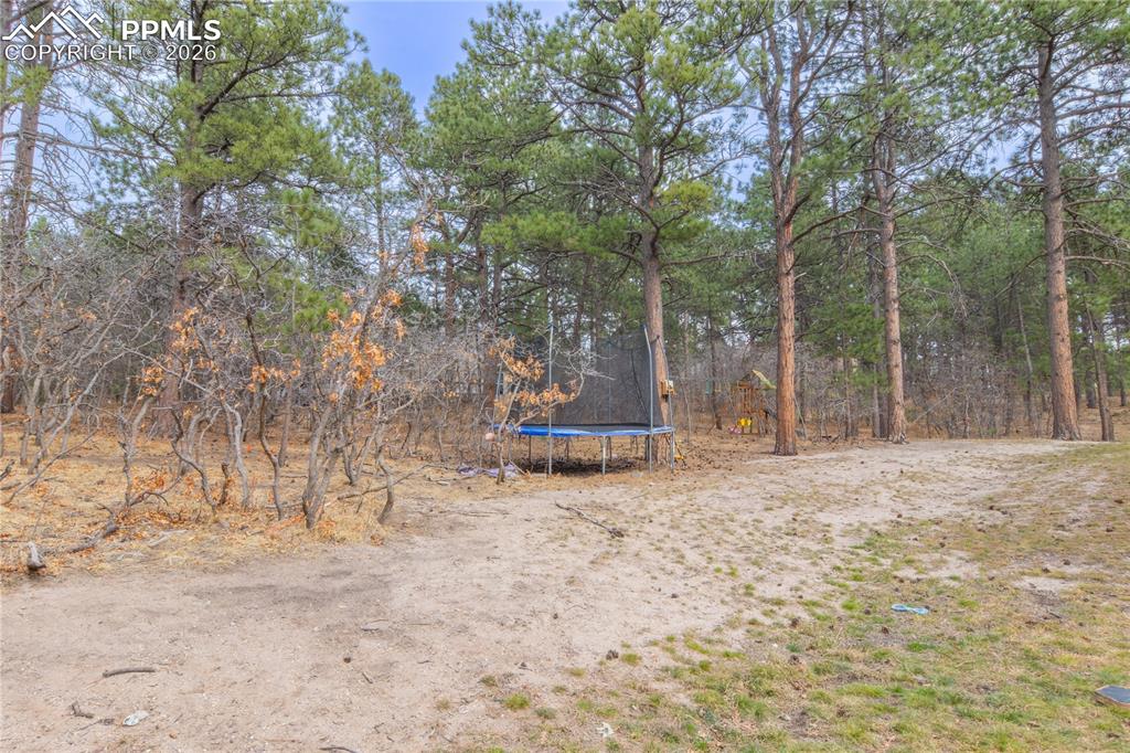 Image 47 of 50: Community