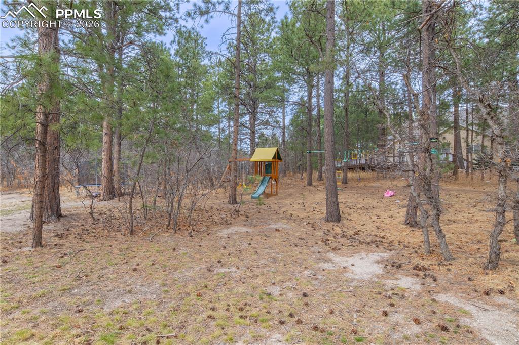 Image 48 of 50: Yard