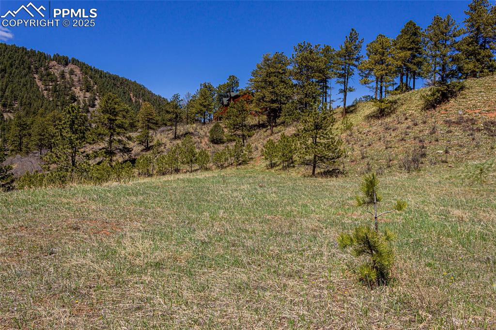 Image 4 of 10: Other