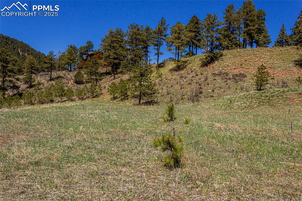 Image 8 of 10: Other