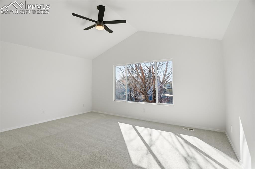 Image 15 of 31: Other