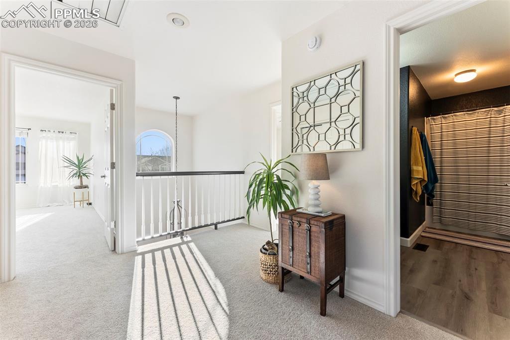 Image 32 of 50: Other