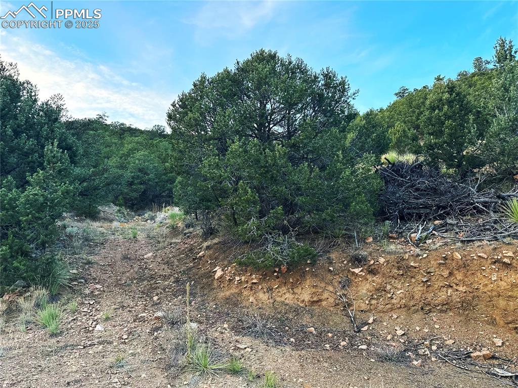 Image 2 of 16: View of driveway