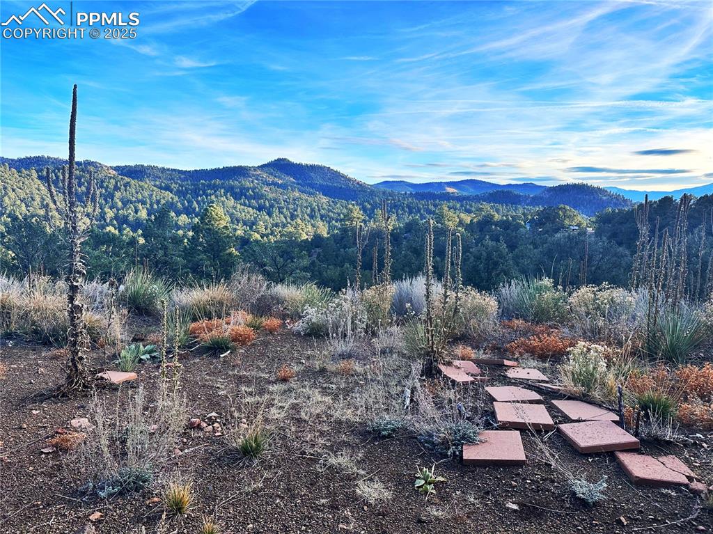 Image 5 of 16: Mountain view with a forest