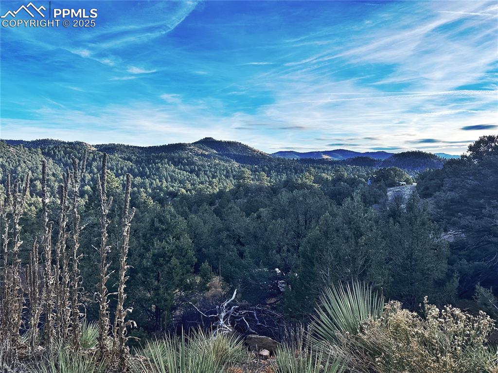 Image 6 of 16: View of mountain background with a heavily wooded area