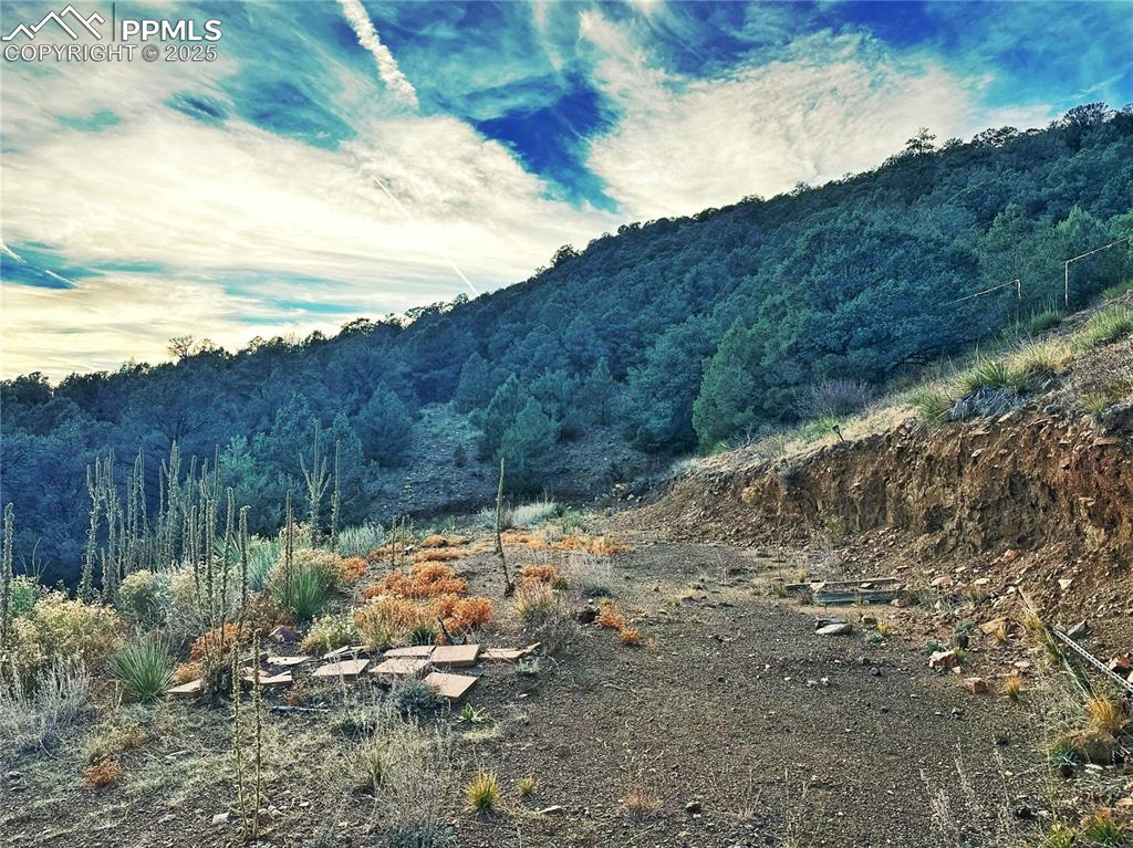 Image 8 of 16: View of mountain background with a forest