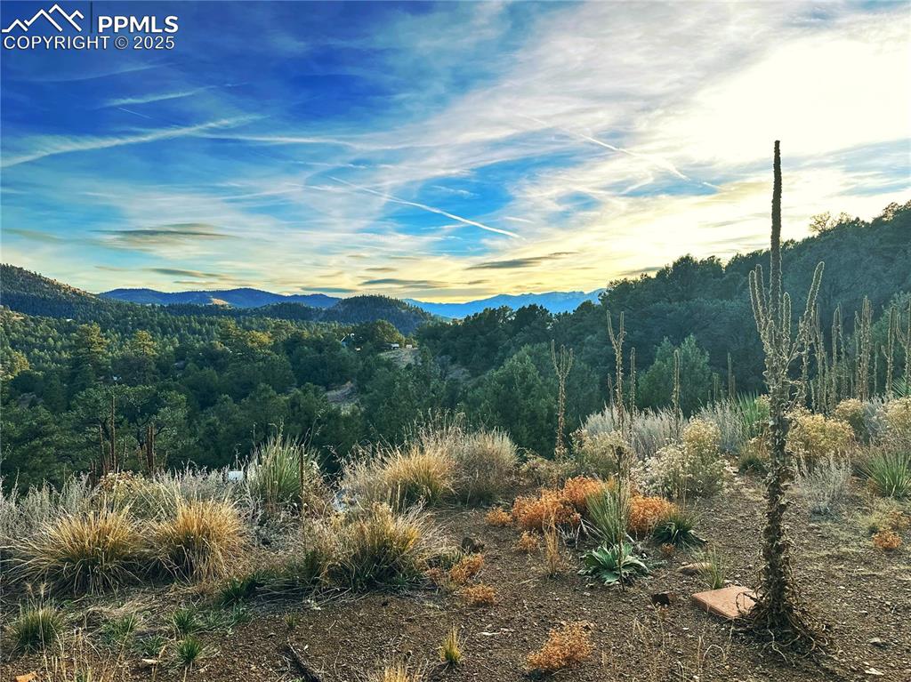 Image 9 of 16: Mountain view with a forest