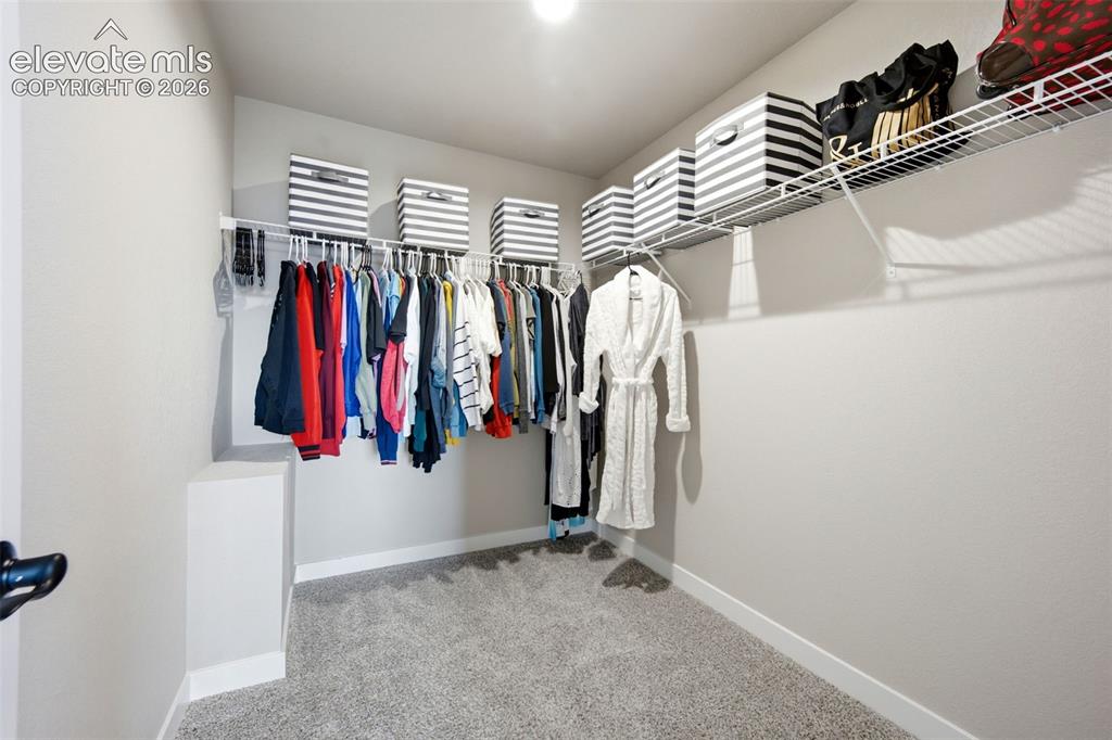 Image 25 of 50: Primary Walk In Closet #1