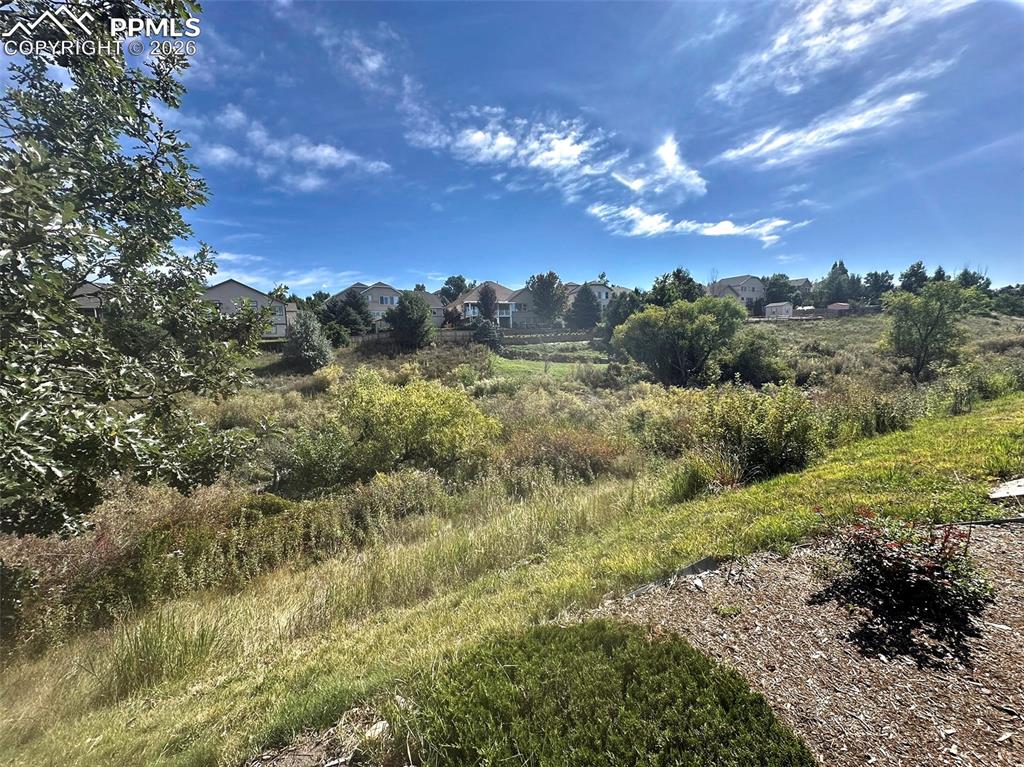 Image 16 of 20: Green Space