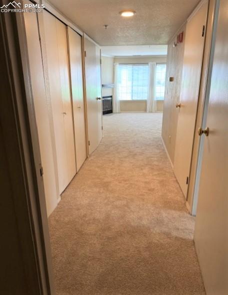 Image 23 of 32: Entry hallway from the garage towards the living room with new light colore