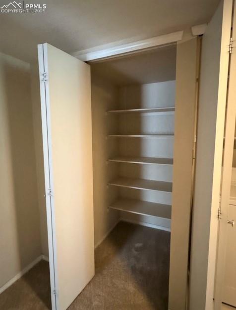 Image 25 of 32: View of roomy hall storage closet