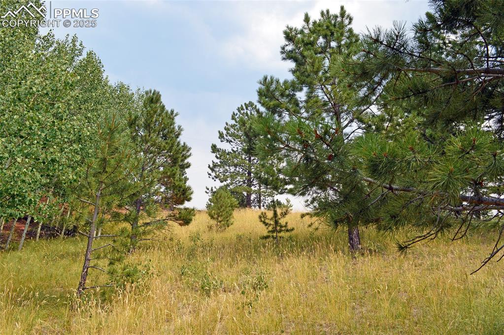 Image 10 of 14: Other