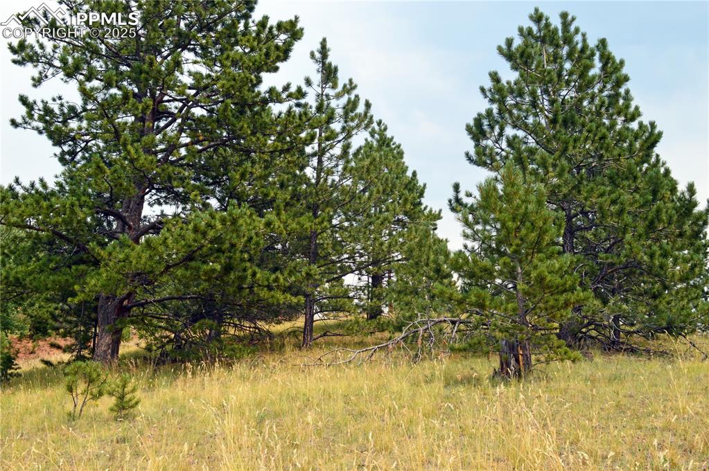 Image 12 of 14: Other