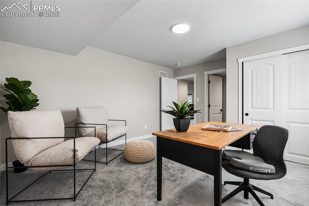 Image 26 of 29: Third Bedroom in The Basement, With Adjoining Bathroom