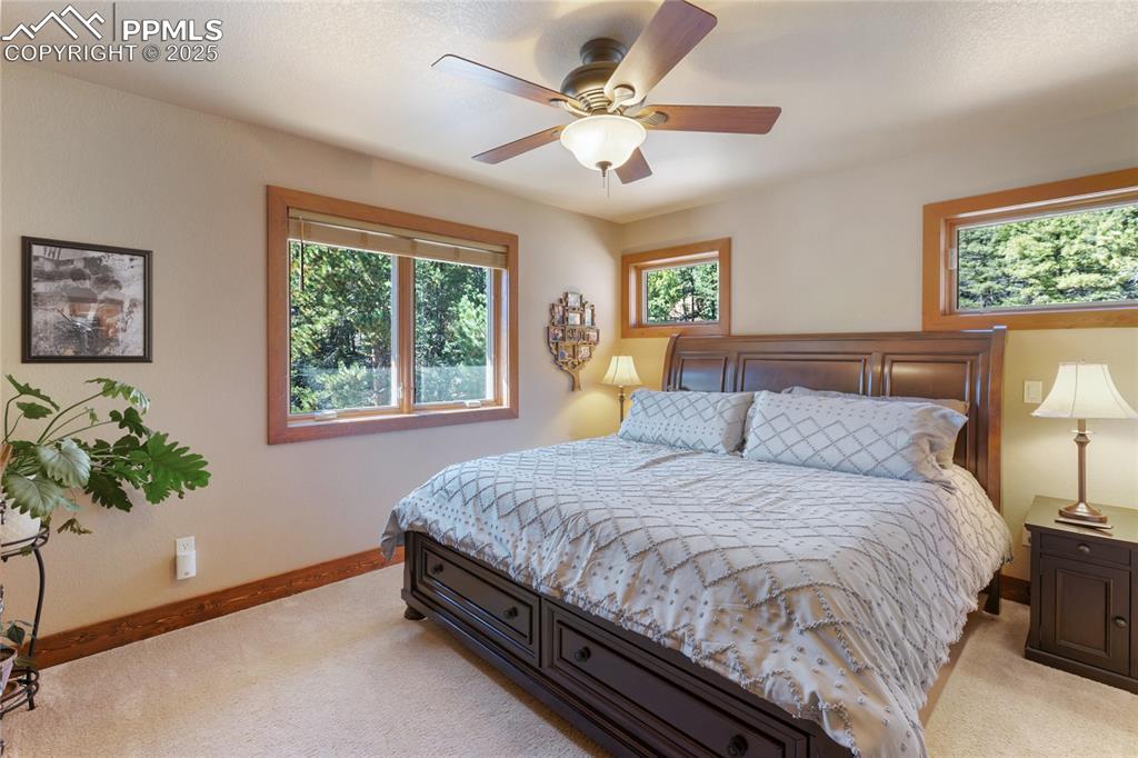 Image 19 of 38: A second bedroom on the main floor makes this easy access for family, or fr
