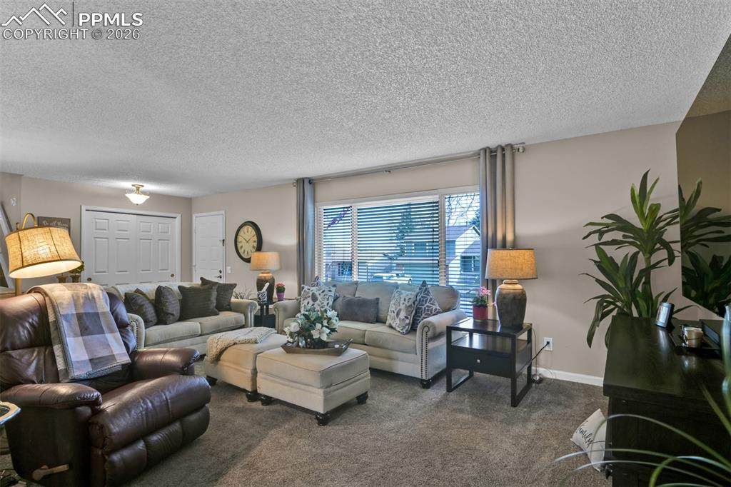 Image 17 of 41: Carpeted living area featuring a textured ceiling and baseboards