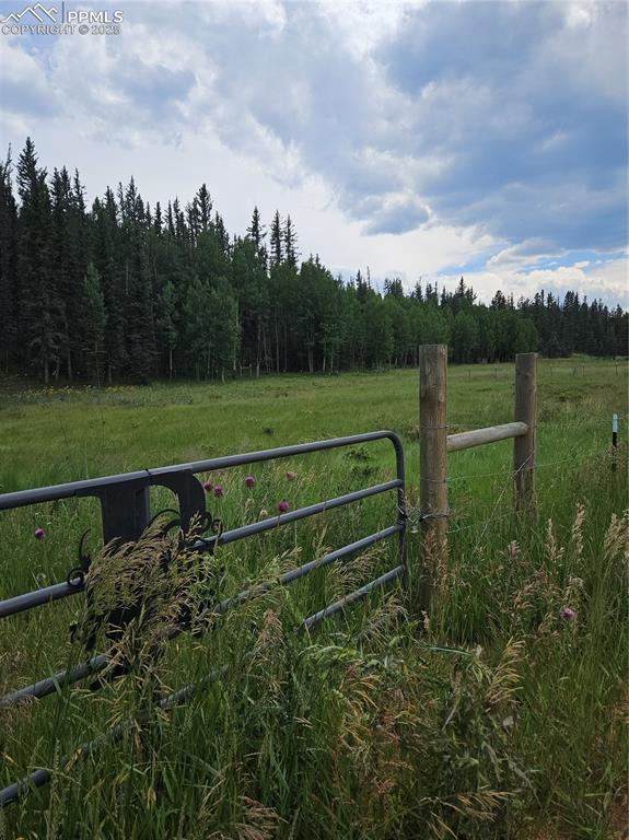 Image 10 of 47: Fence