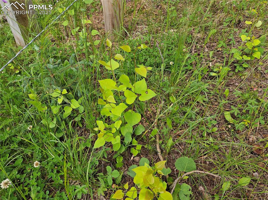 Image 17 of 47: Other